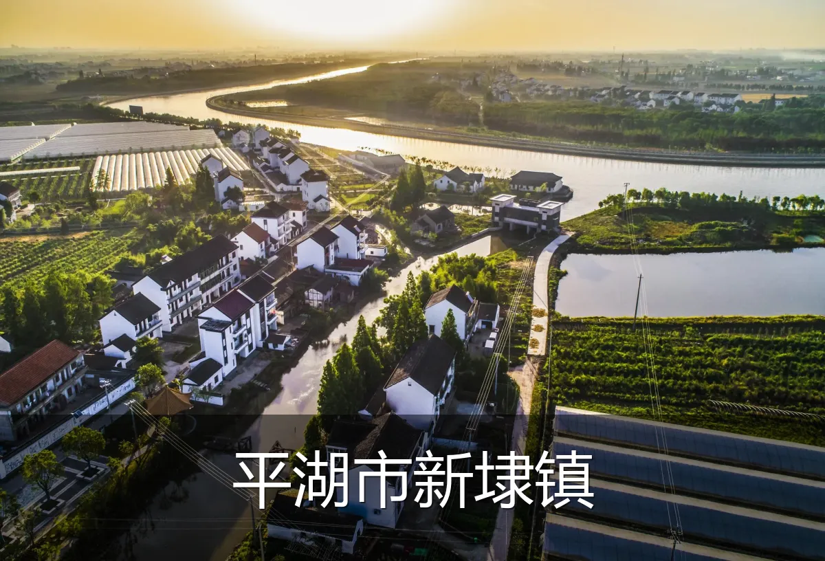 平湖市新埭镇