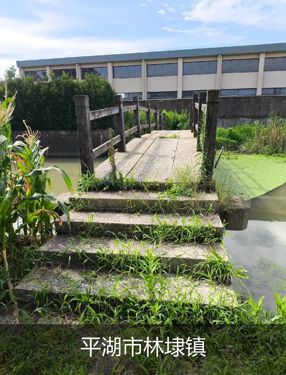 平湖市林埭镇