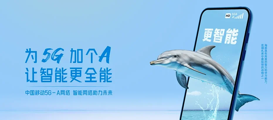 平湖市平湖市钟埭街道 移动宽带